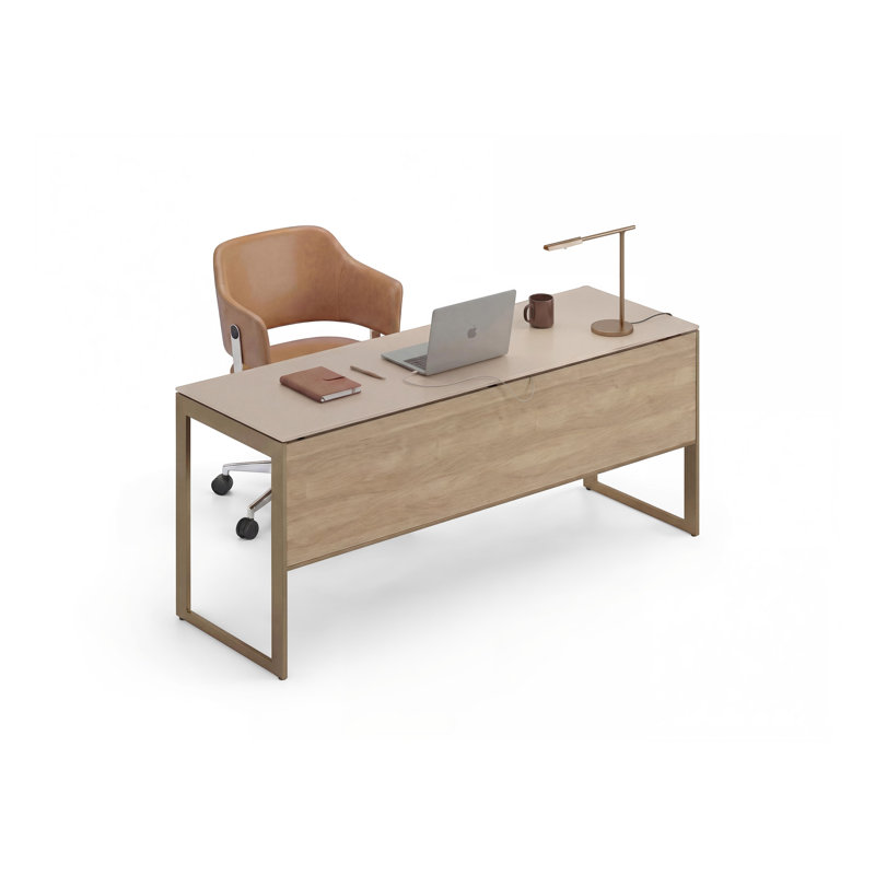 Sequel Studio Desk - 6601, Neo Oak/Bronze