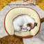 Polyester Pet Bed