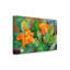 Deetra «Blossoming Cactus», reproduction de peinture acrylique sur toile tendue-27484713
