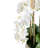 Functional Beauty Realtouch Orchid Arrangement