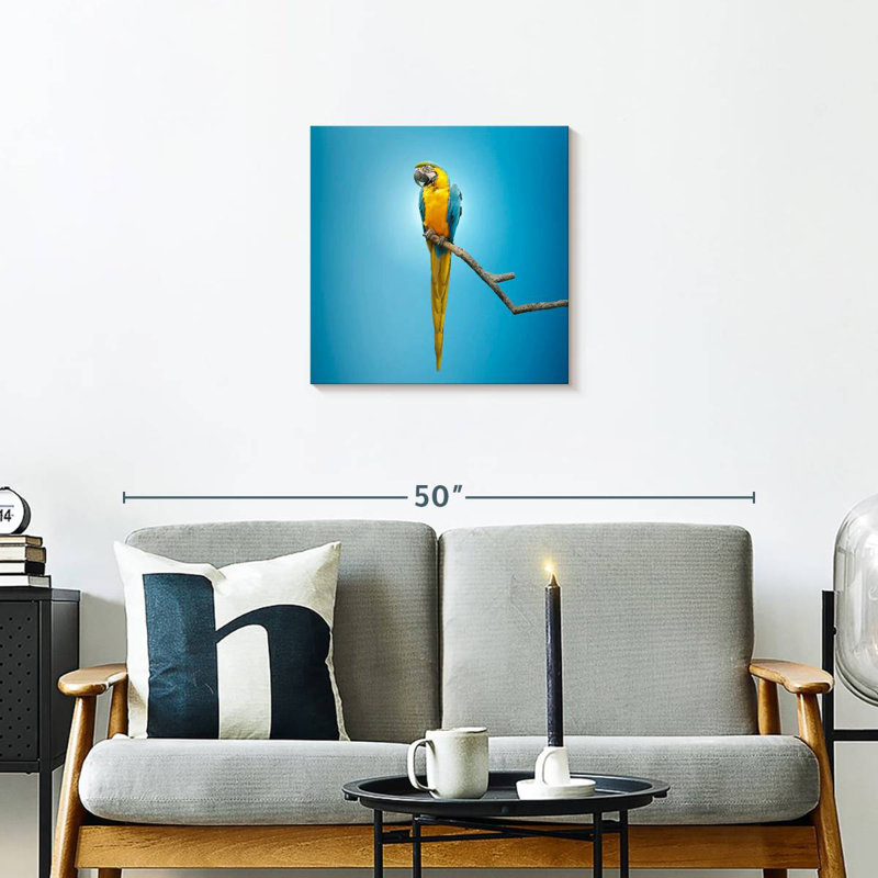Crowle Macaw, 20" H x 20" W