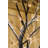 82in Black Tree with 120 Warm White LED Lights and 8 Lighting Functions-568192557