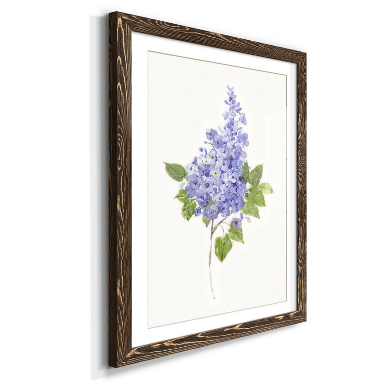 Lilas botanique délicat - impression, Noyer, H 44 po x l 31 po x P 1 po
