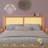 Boho Natural Rattan Storage Queen Bed