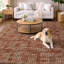 Tapis à poils longs de qualité supérieure lavable à la machine Dream-9014948-9014958
