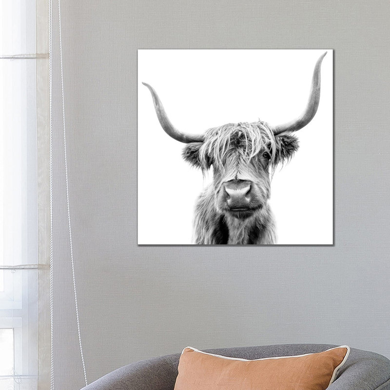 Scottish Highland Cattle - Wrapped Canvas Print, 66.04 cm H x 66.04 cm W