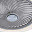 Camarata Ceiling Fan with LED Lights