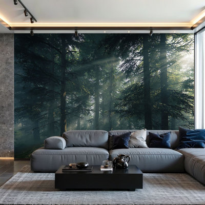 Papier peint adhésif pelez et collez Misty Pine Forest Sun Rays Streaming Tall Evergreen Trees Art mural auto-adhésif et amovible