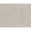 Area Rug in Beige