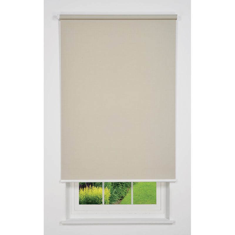 Store enroulé semi-transparent, Blanc, l 70,5 po x L 78 po