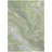 Machine Washable Indoor/Outdoor Cinead ACN1701 Aloe Rug-104539841