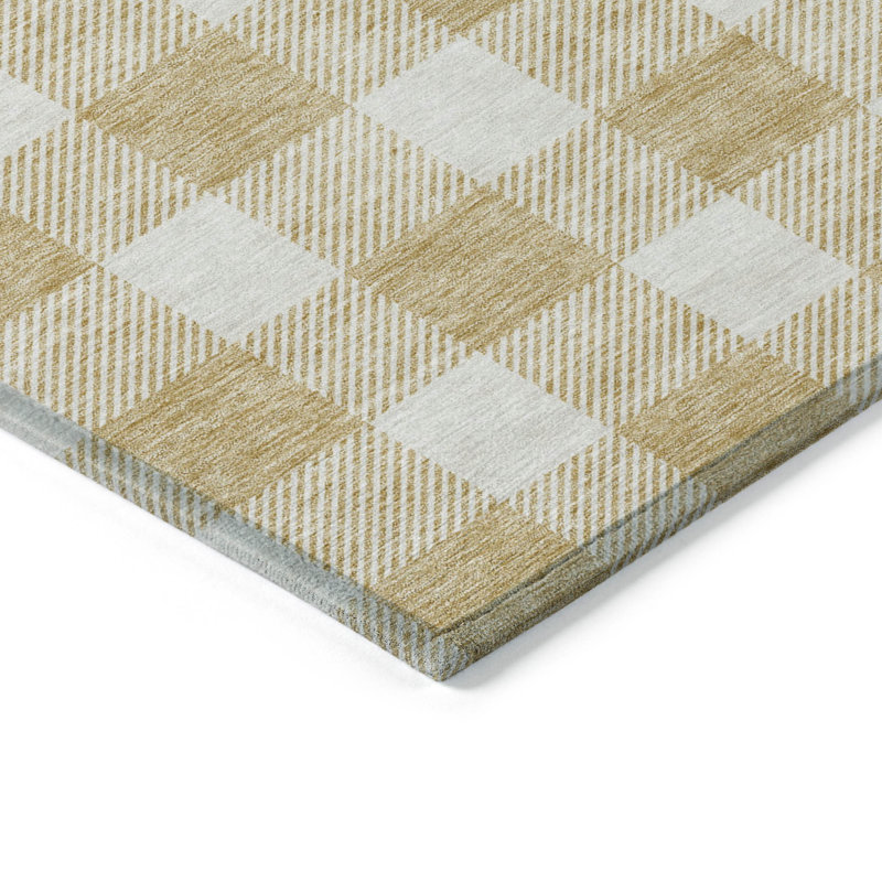 Colzie Checkered Indoor / Outdoor Rug, Rectangle 3' x 5'