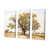 Toile tendue
