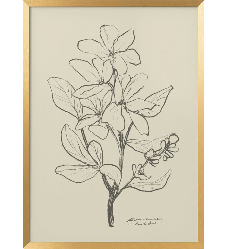 Nature Inspired " 1" Framed Print Wall Art, 20" H x 16" W