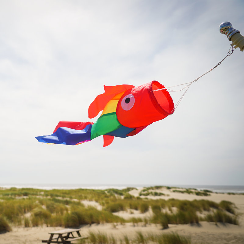 30" Damsel Fish Windsock