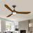 Modern Smart Ceiling Fan With Led Light-1133478860