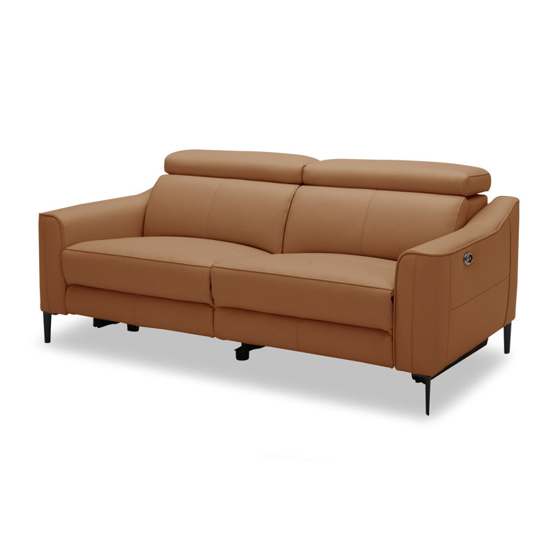 Anisia 60'' Leather Power Reclining Loveseat, Camel