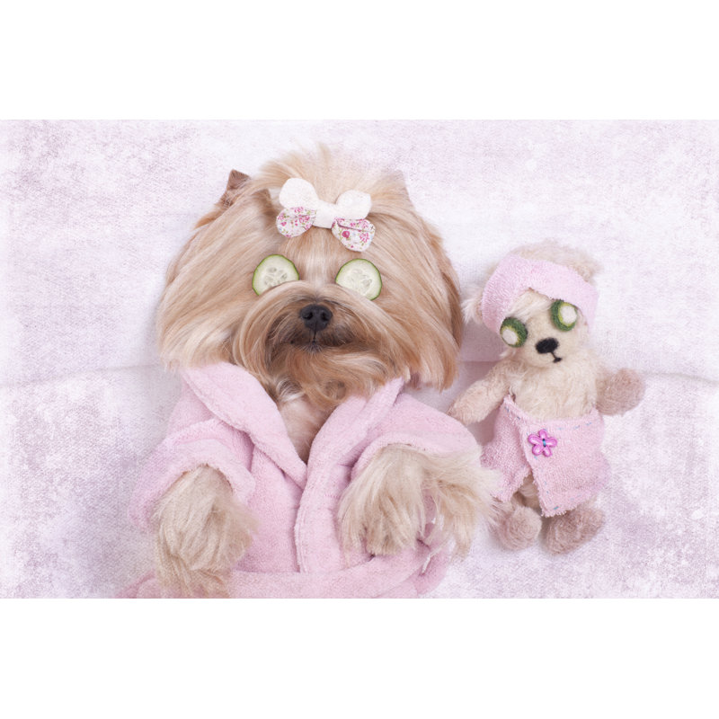 Yorkie Dog by Liliboas - No Frame Print on Canvas, 20cm H x 30cm W
