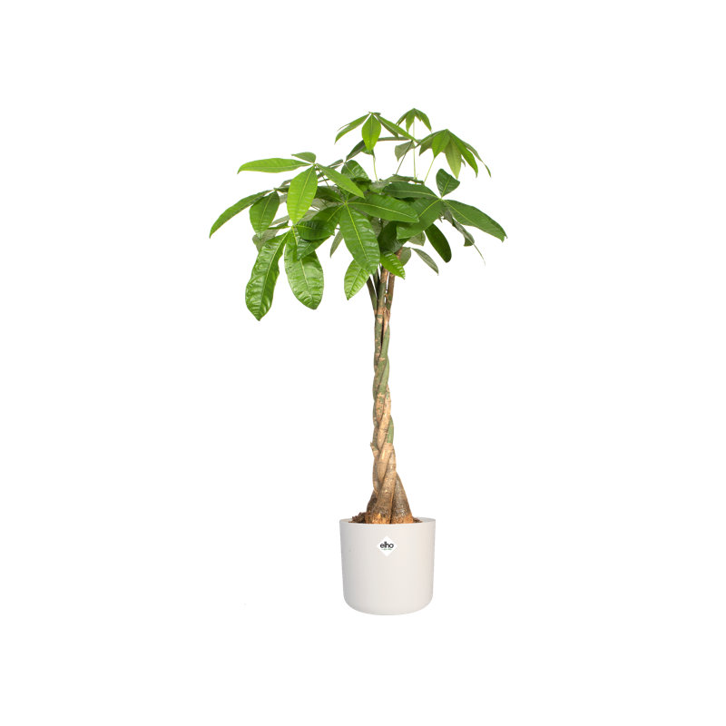 B.For Pot Planter, White, 20.4cm H x 22.3cm W x 22.3cm D