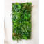 106cm Plant-1867390957