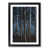 Black Framed