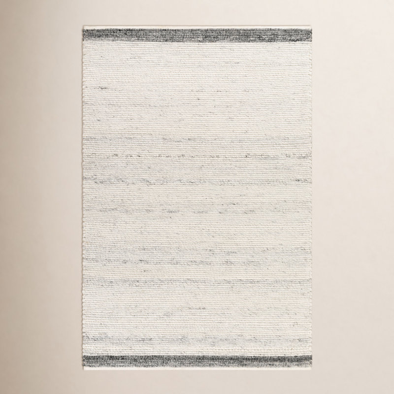 Mecit Handmade Braided Recycled P.E.T. Indoor / Outdoor Area Rug in Gray/White, Rectangle 2' x 3'