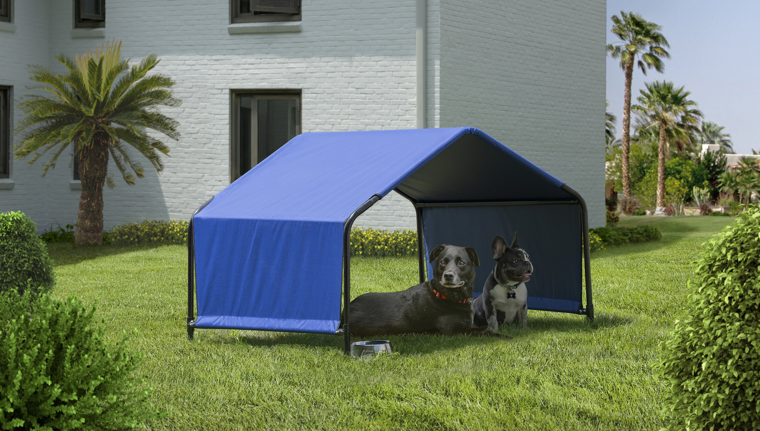 ShelterLogic Pet Shelter 4 x 4 x 3 ft & Reviews Wayfair