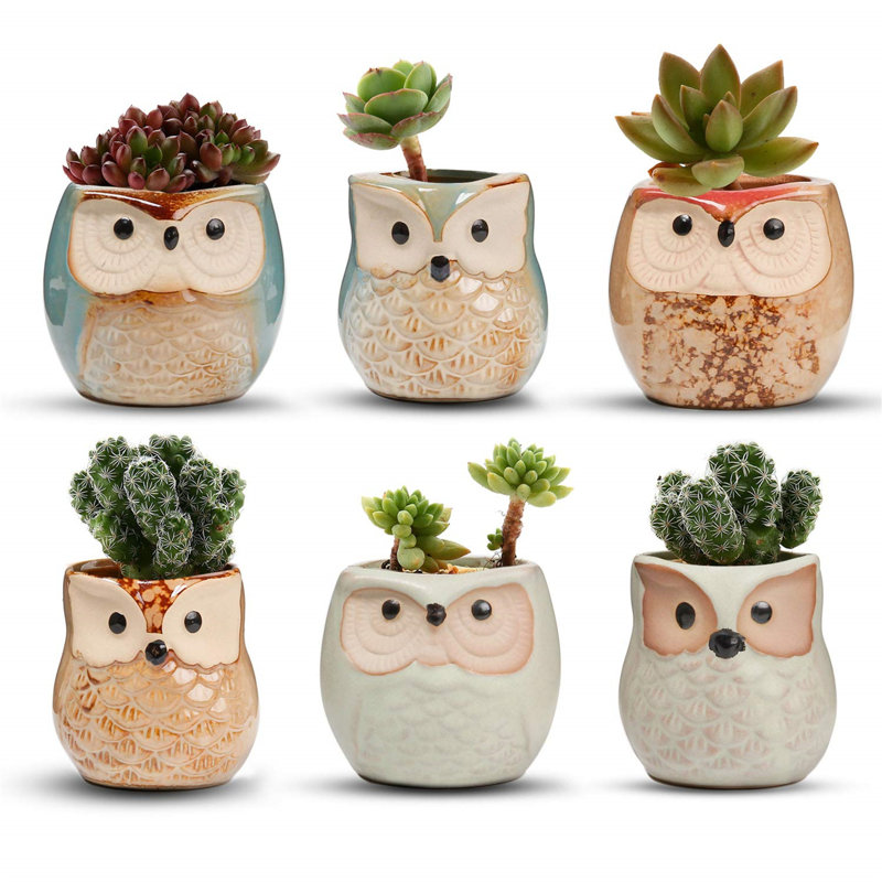 Hovagim Ceramic Pot Planter