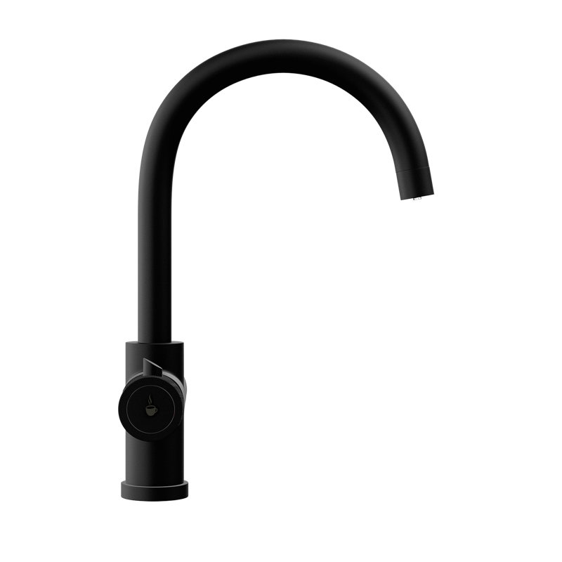 Fohen Kitchen Faucet, Matt Black
