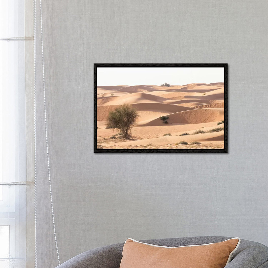 Wüste mit Sand. Abu Dhabi, Vereinigte Arabische Emirate. von Tom Norring - Gallery-Wrapped Canvas Giclée on Canvas