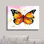 « monarch papillon » par kathy stany, reproduction d’art sur toile tendue