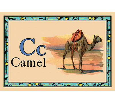 " Camel "