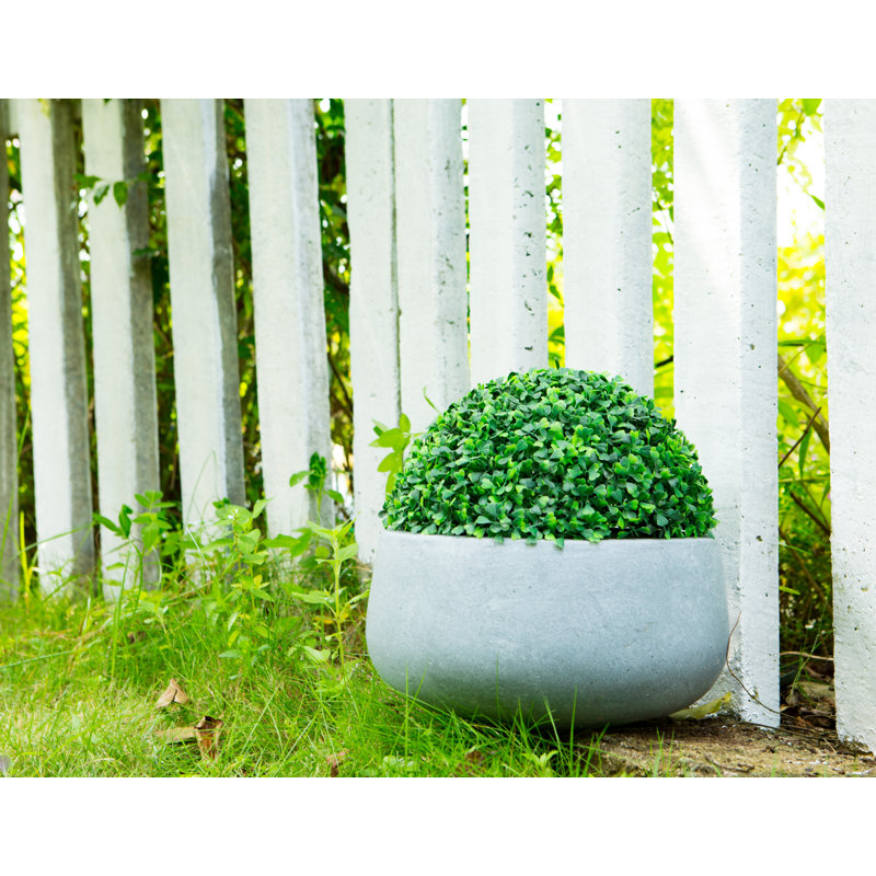 Pot à fleurs en béton Dovenby, H 10 po x l 20 po x P 20 po, Coment