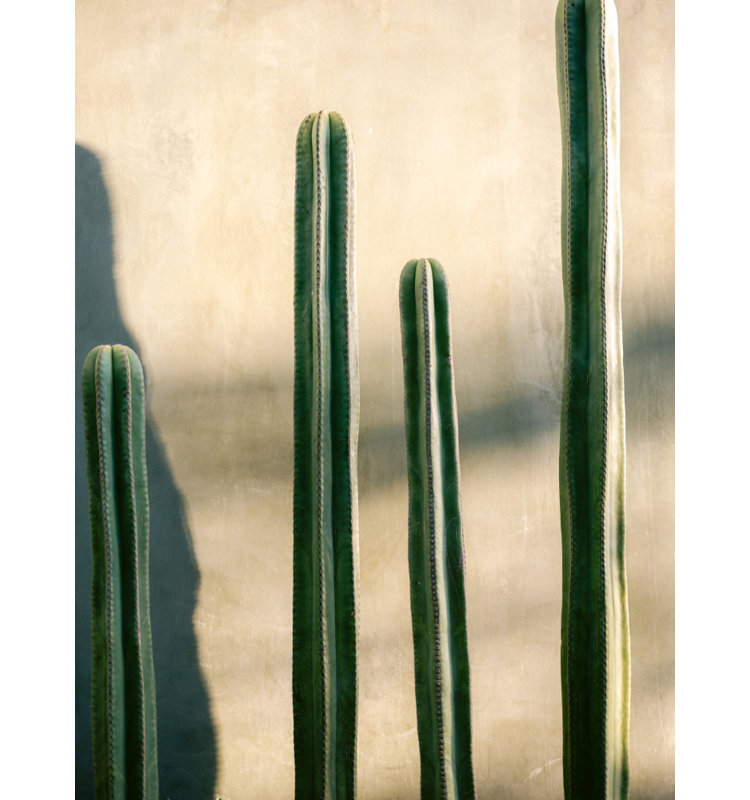 Wrapped Canvas Print, 91.44 cm H x 60.96 cm W