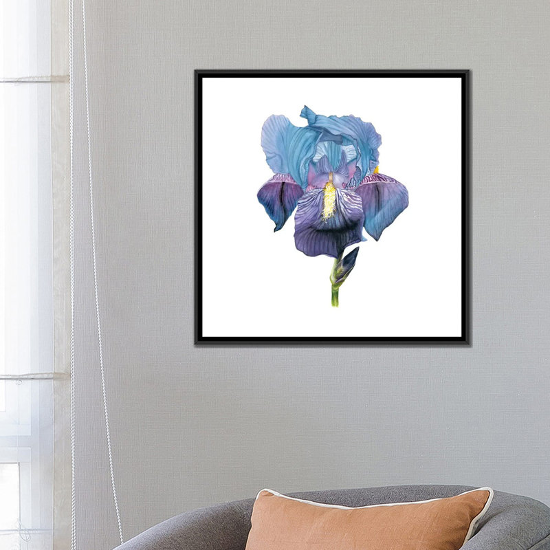 «Brighton Blooms IV», impression sur toile, H 18 po x l 18 po x P 1,5 po, Toile avec cadre noir, Pas de tapis