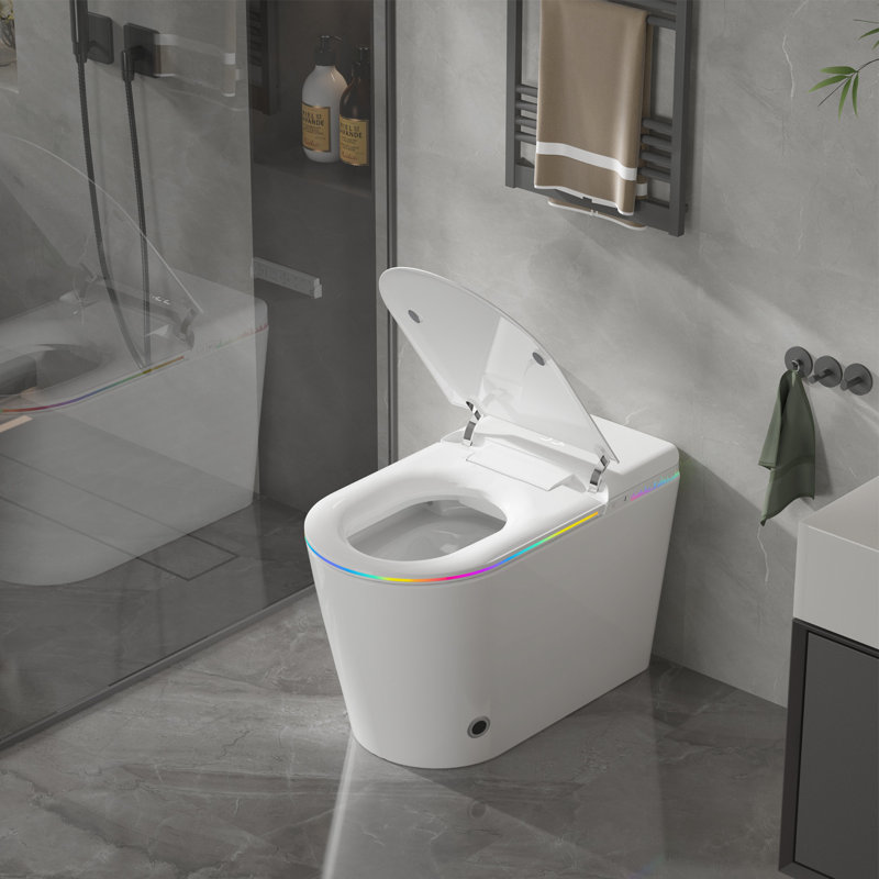 Smart Toilet With Child Seat, Dual Filters, Auto Flush, Bidet Wash, Heated Seat, Warm Air Dry, Adjustable Temperature & Pressure, Rgb Night Light, Led Display & Remote Control