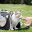 Sac à dos pour animaux
