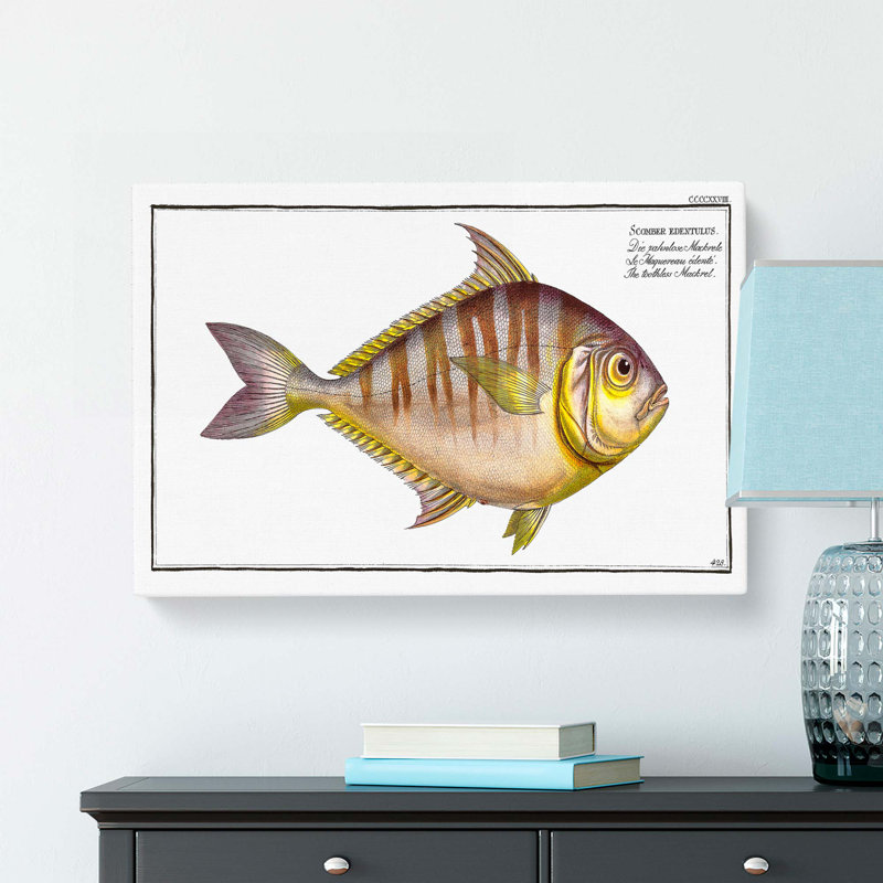 Toothless Mackerel Fish by M.E. Bloch - Wrapped Canvas, 50cm H x 76cm W x 3cm D