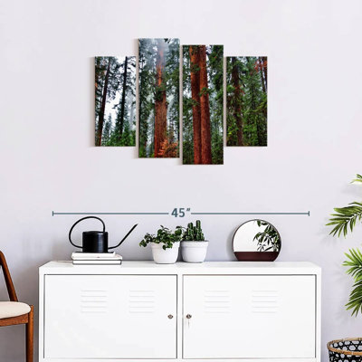 «Redwood Trees Vibrant Redwood», reproduction d'art sur toile 4 pièces
