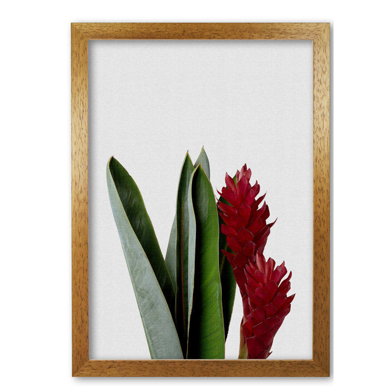 Red Flower - Print, 85 cm H x 60 cm W x 5 cm D, Honey Oak Frame
