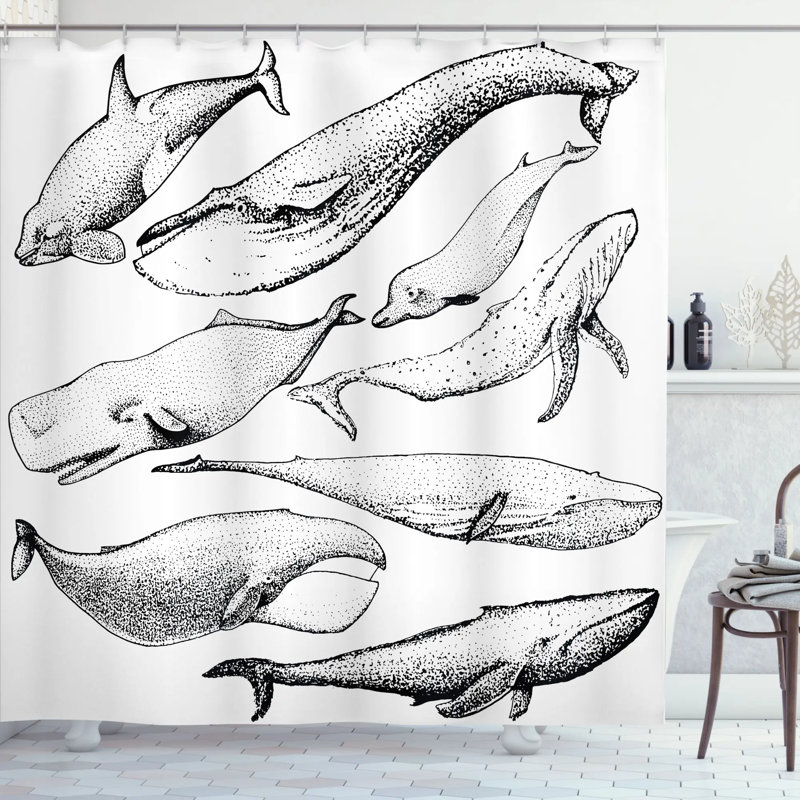 Ensemble de rideau de douche et crochets Whale, H 70 po x l 69 po