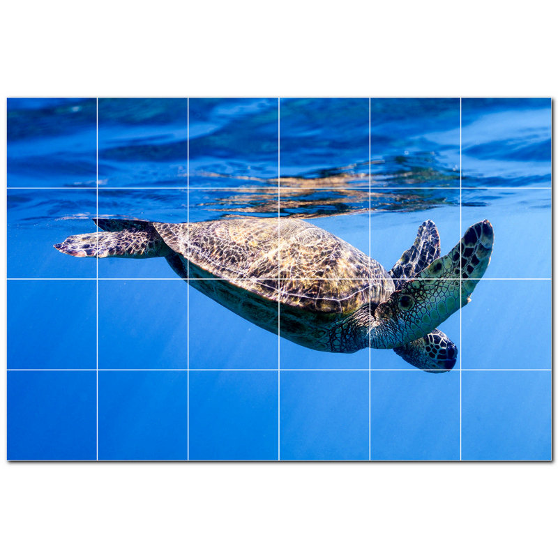 Turtle Photo 12 in. x 12 in. Ceramic Decorative Mural