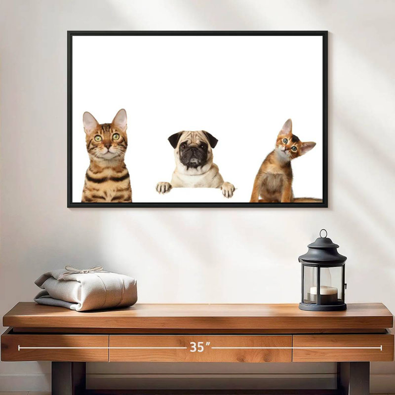 Pug And Cats, 17" H x 25" W
