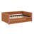 Upholstered Platform Sleeper With Pull-Out Trundle And LED-1239792822