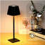 Lampe de table Carrizal-2036987445-2036987444