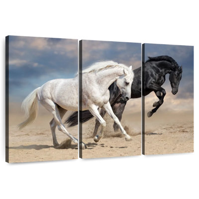 Chevaux noirs et blancs Brampt