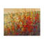 « field of spring florals i », reproduction de peinture à l’acrylique sur toile tendue-33514206