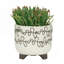 S / 2 pot à fleurs griffonné 6/8 po, beige