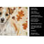Serviette de cuisine tricolore Sheltie-2083472432