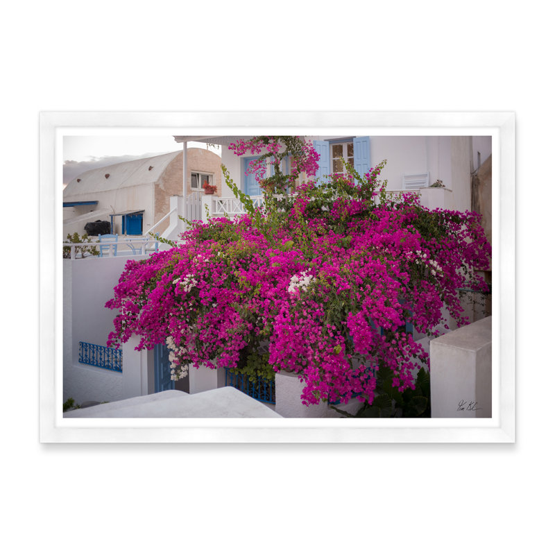 Bougainvillée Oia, Cadre blanc, H 29 po x l 42 po x P 1,5 po